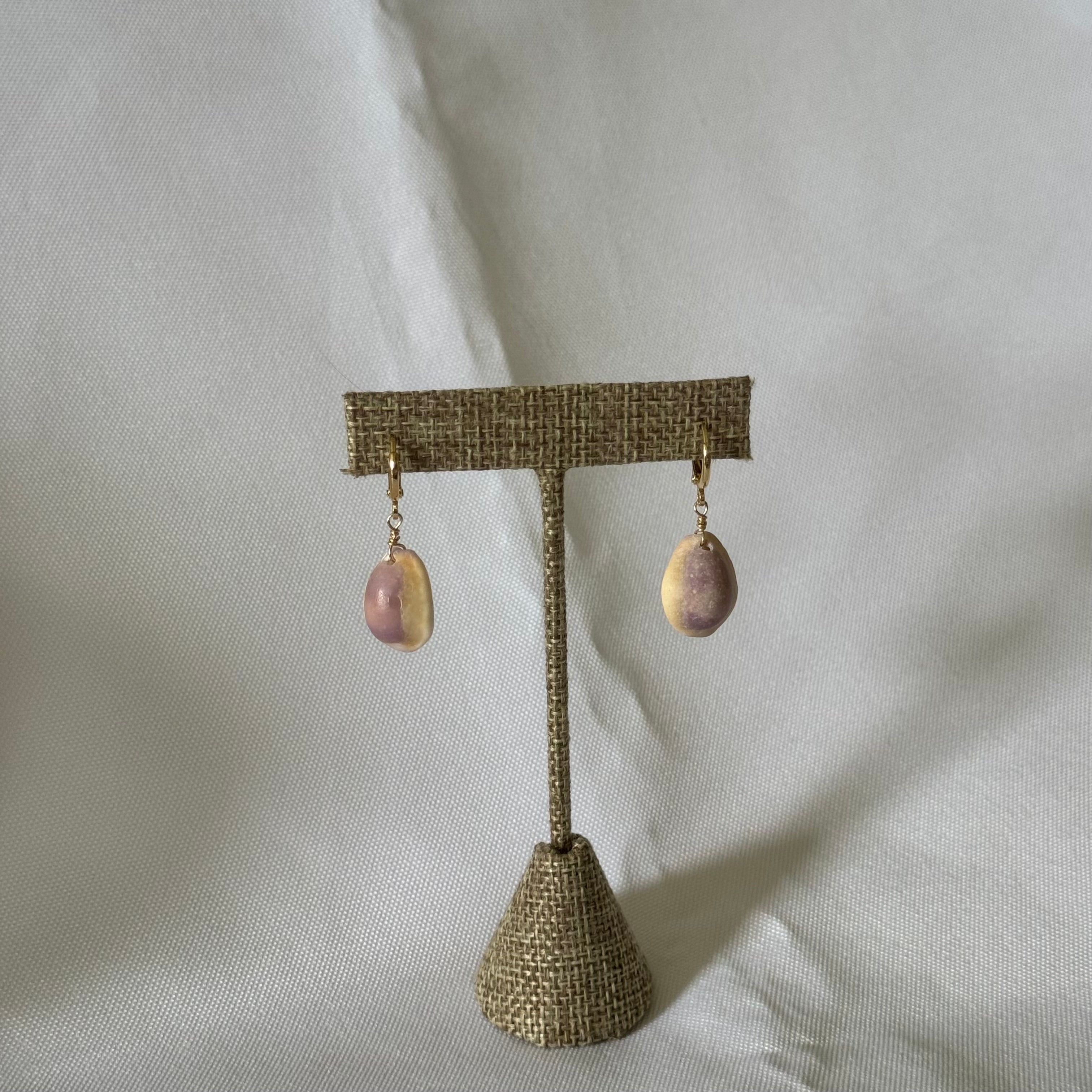 Cowrie Shell Earrings