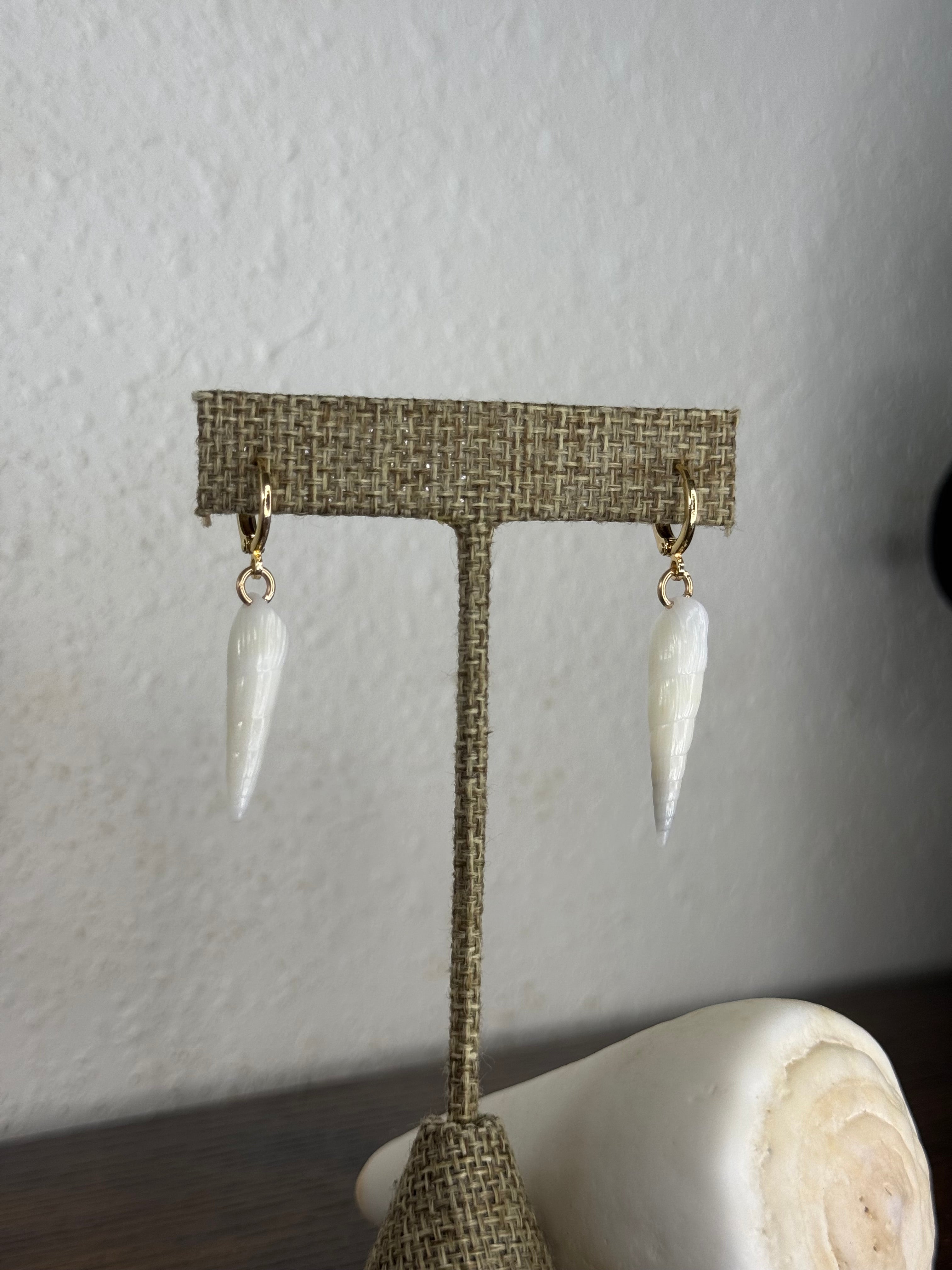 Auger Shell Earrings