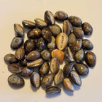 Single Cowrie Bangle