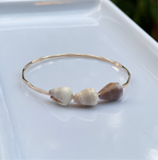 Triple Shell Bangle