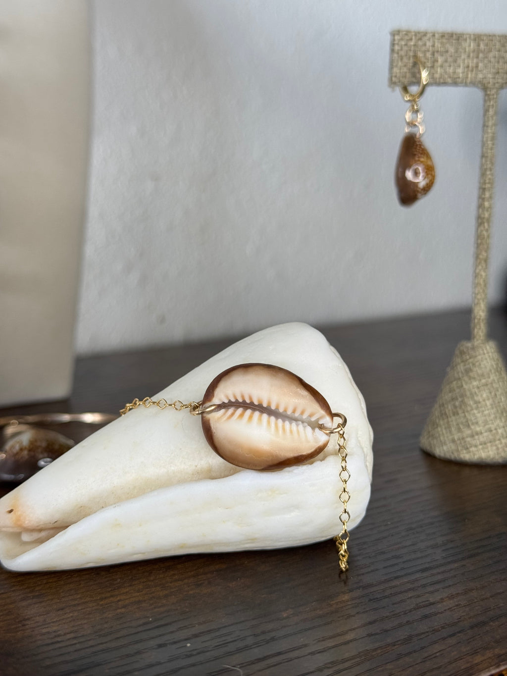 Snakehead Cowrie Set