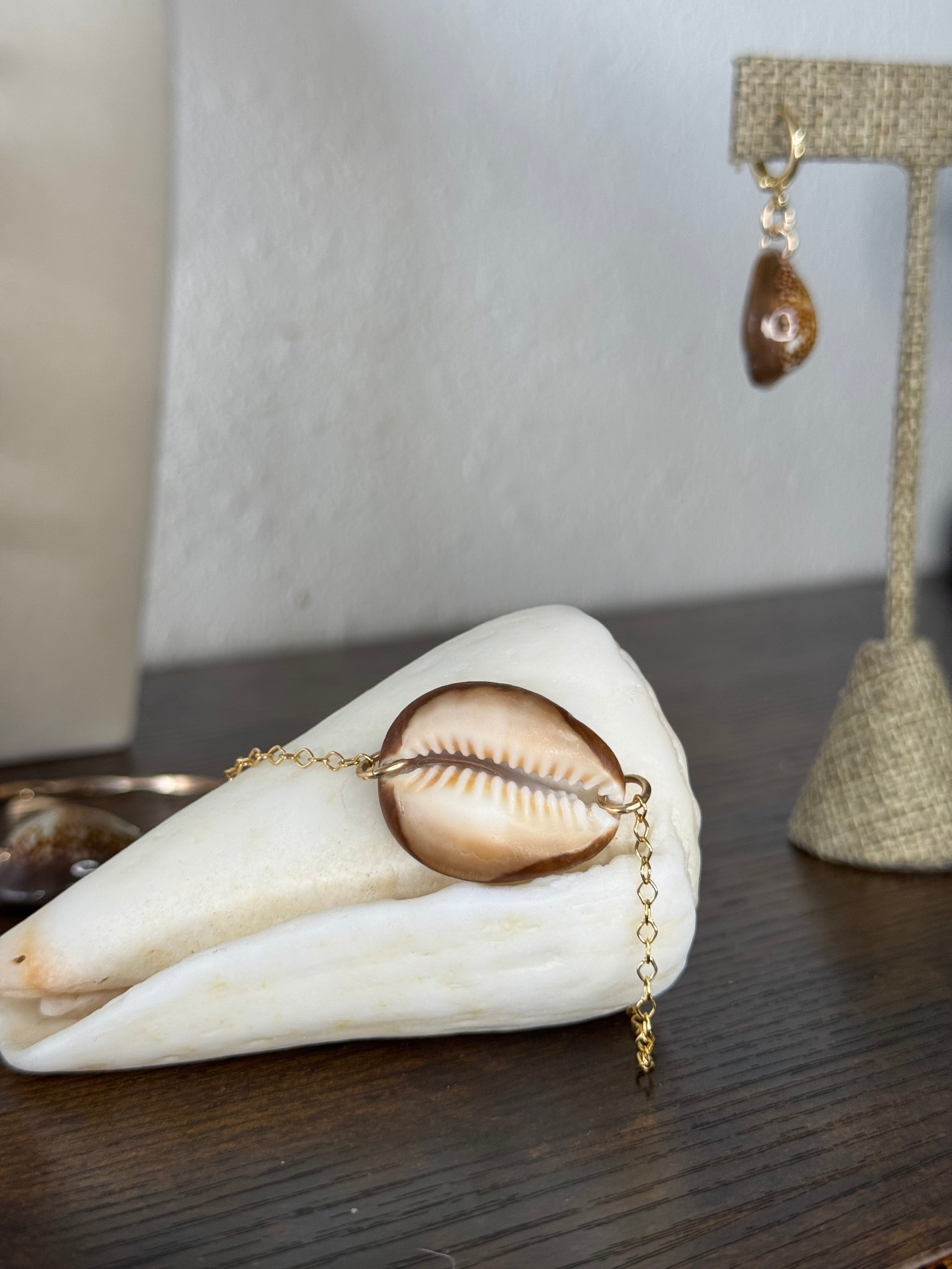 Snakehead Cowrie Set