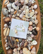 Shell & Pearl Earring