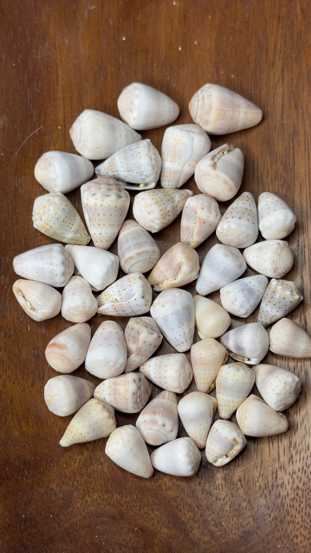 Abbreviated Cone Bangle