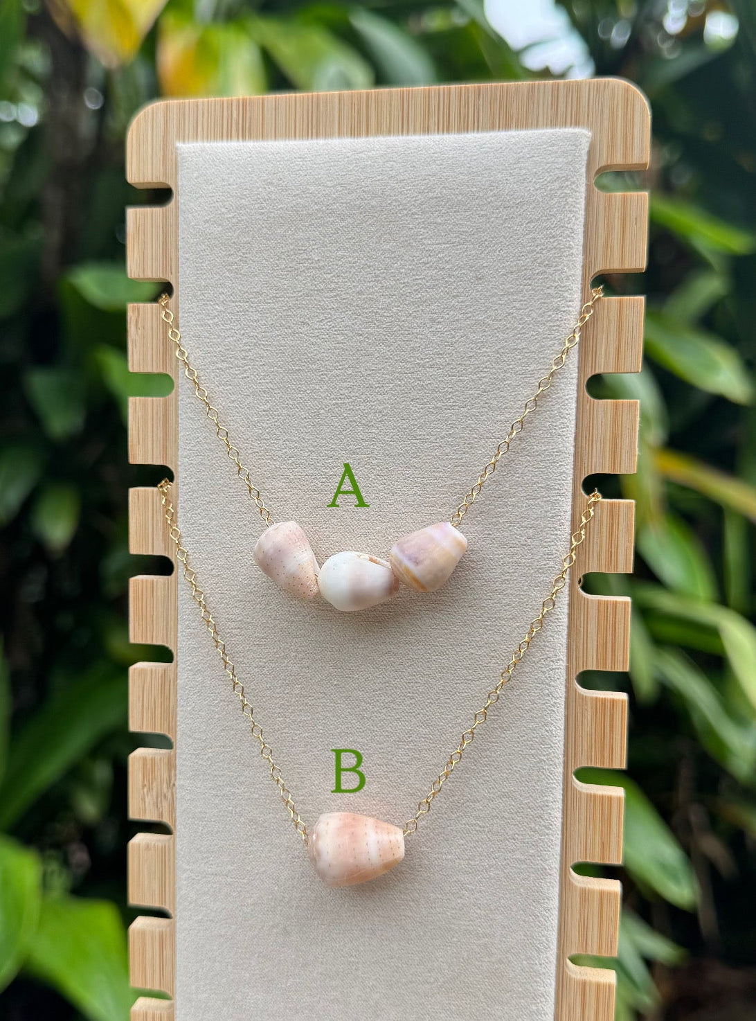Cone Shell Necklaces