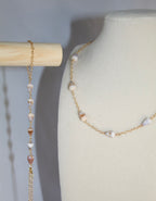 Tiny Shell Set