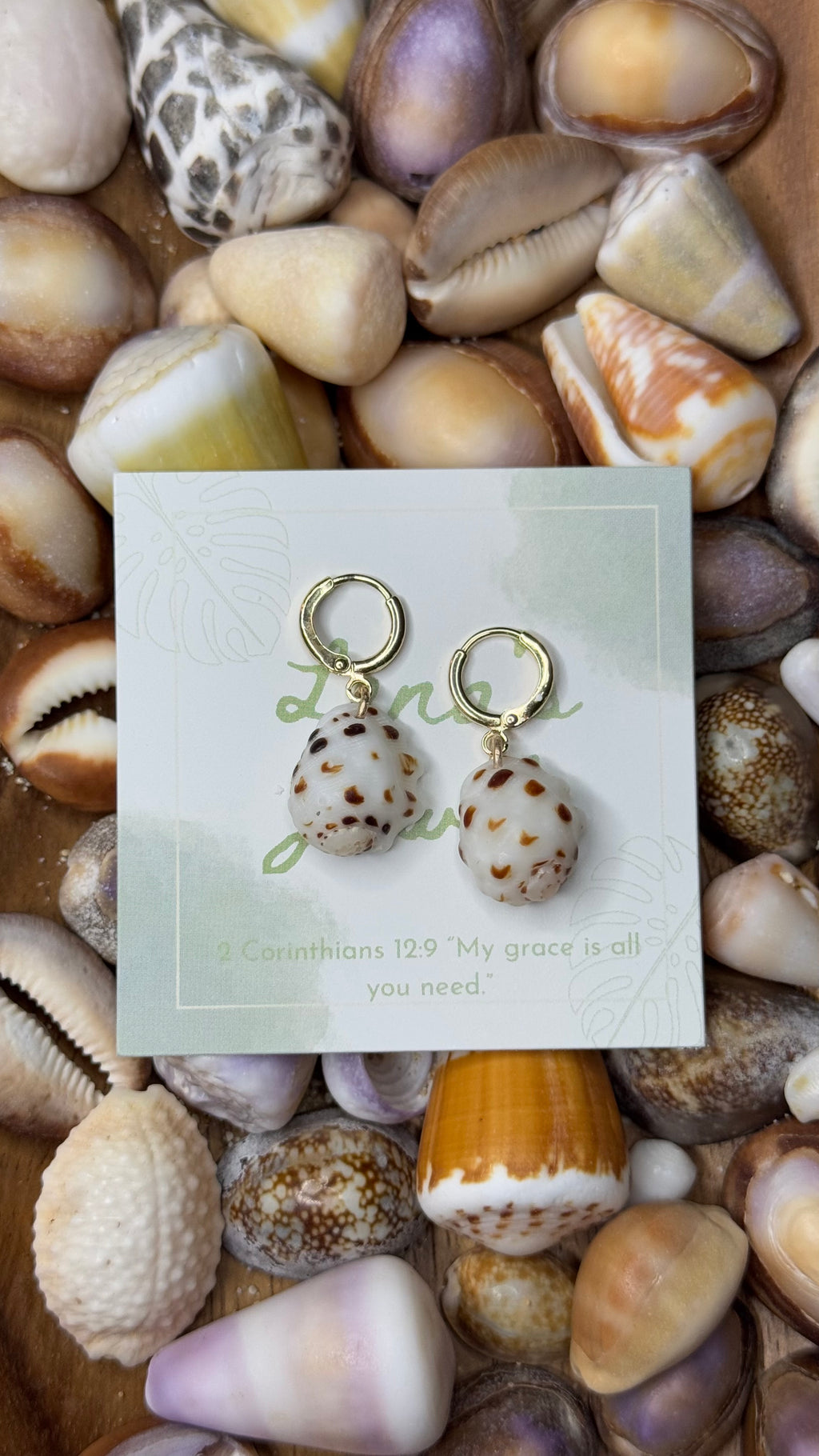 Drupe Shell Earrings