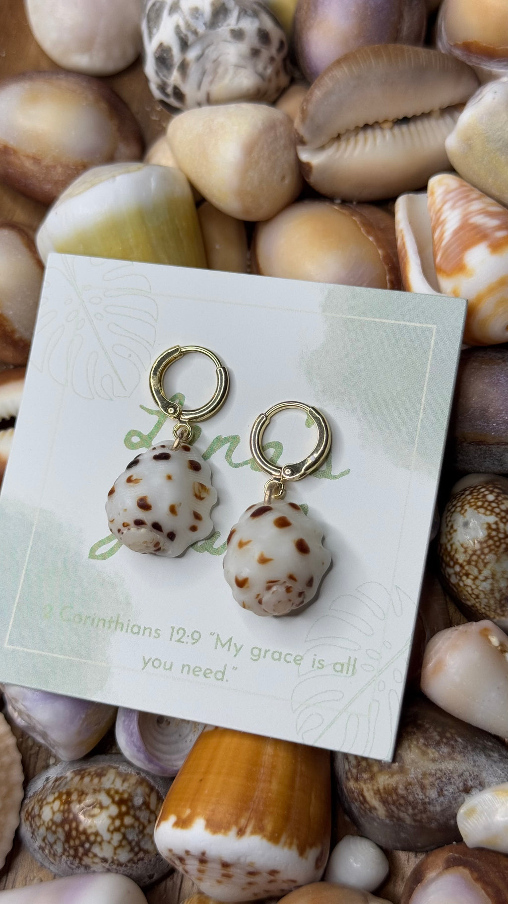 Drupe Shell Earrings