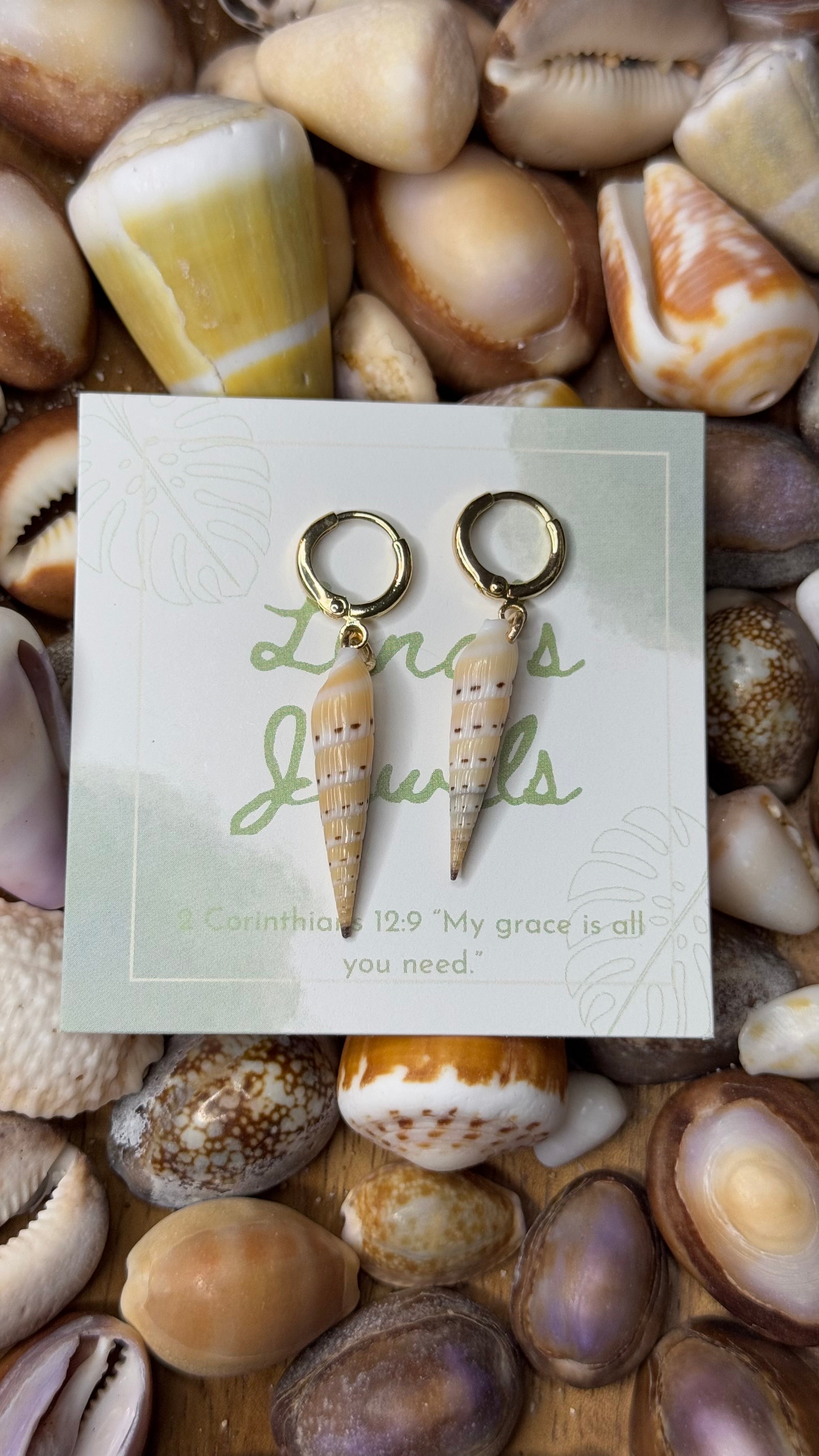 Auger Shell Earrings