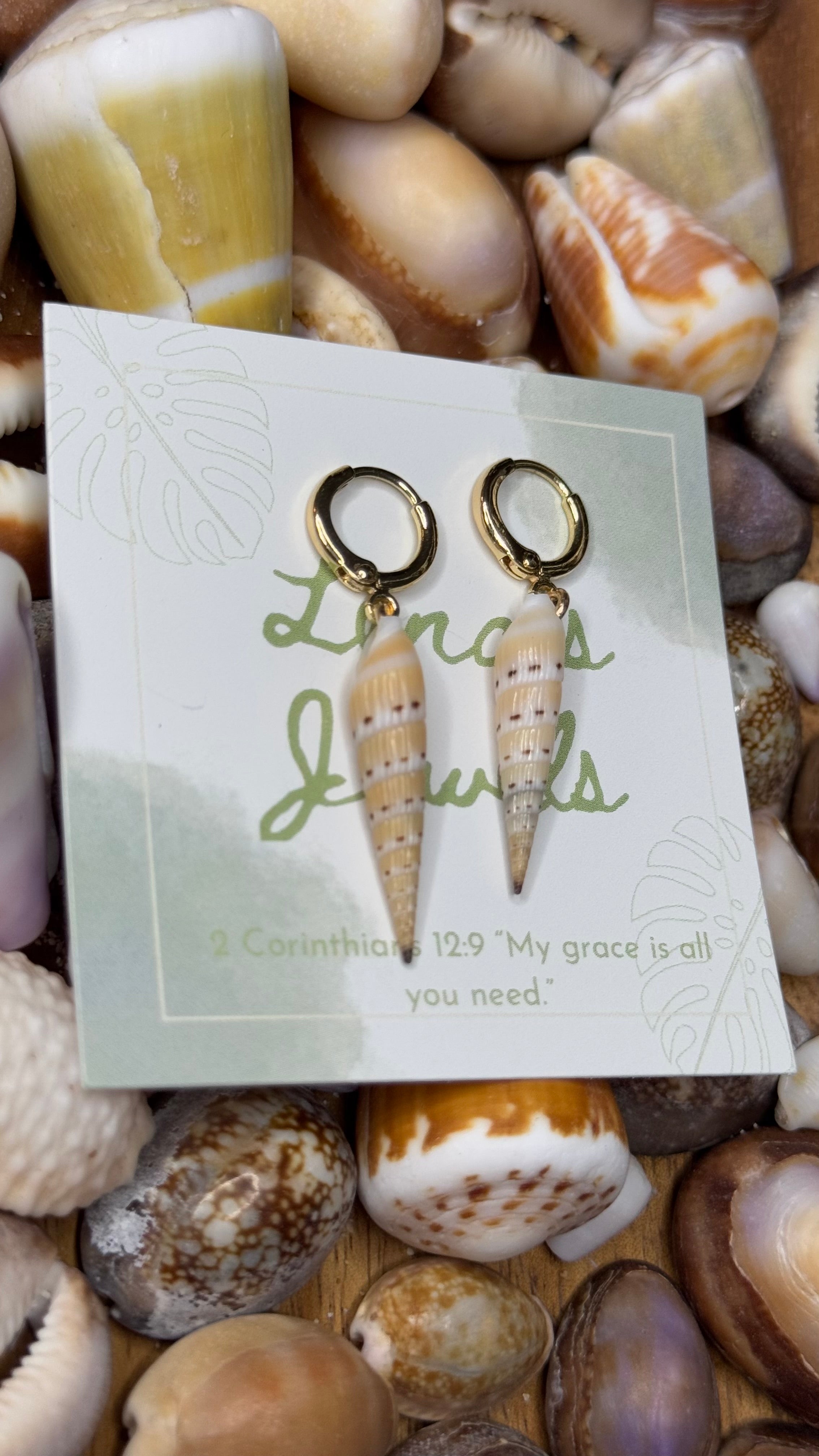 Auger Shell Earrings