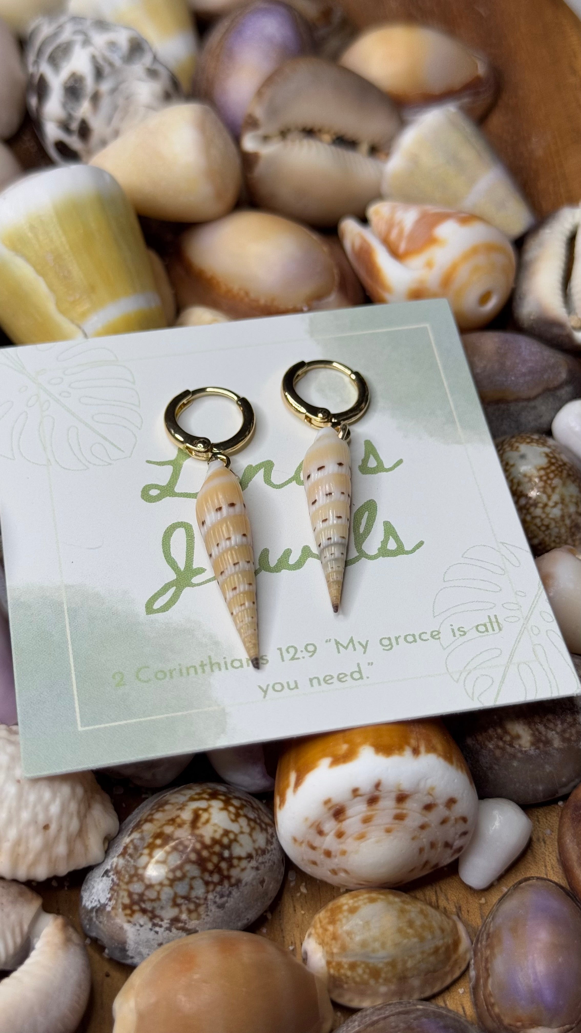 Auger Shell Earrings
