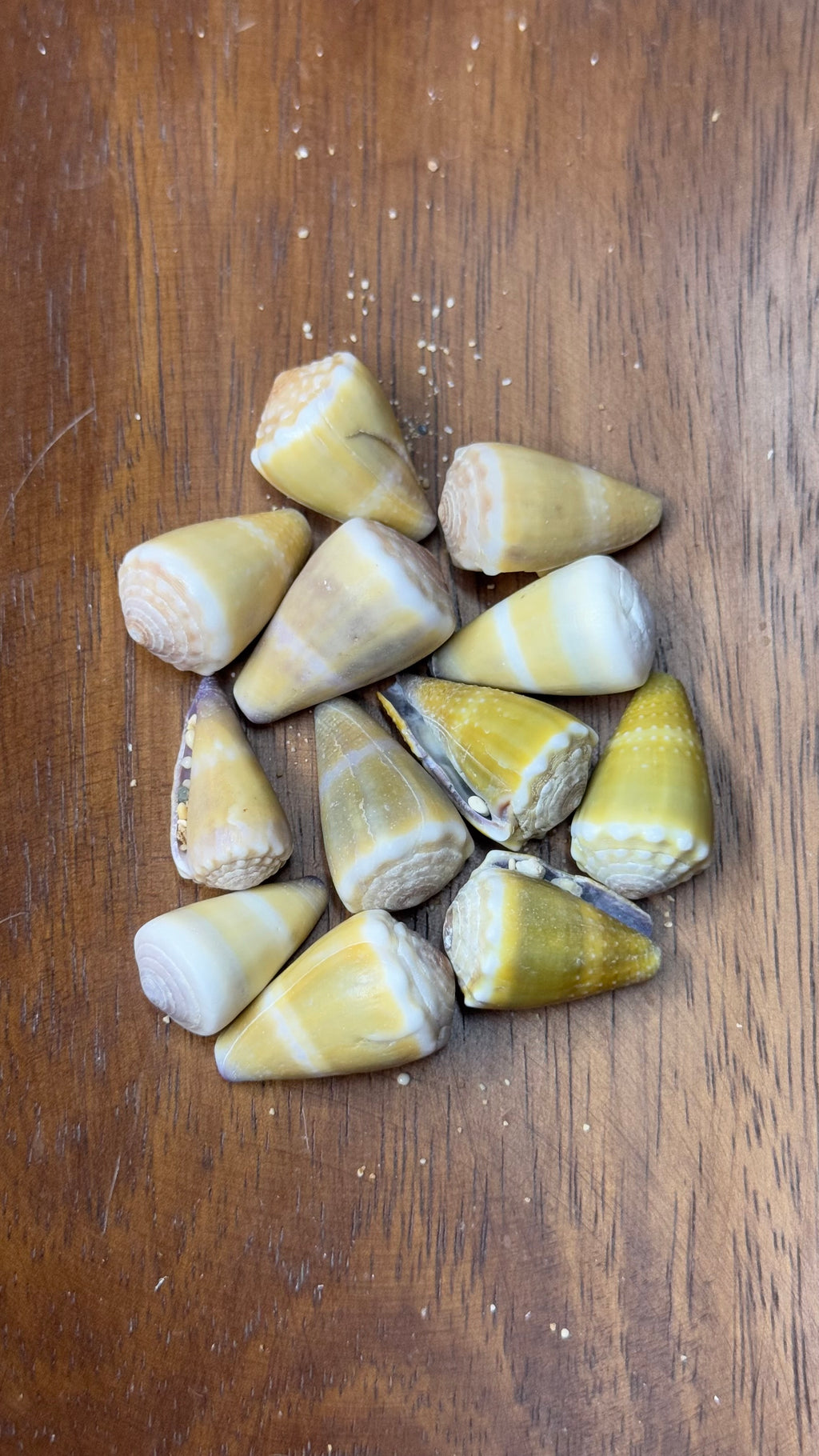 Olive Green Cone Bangle