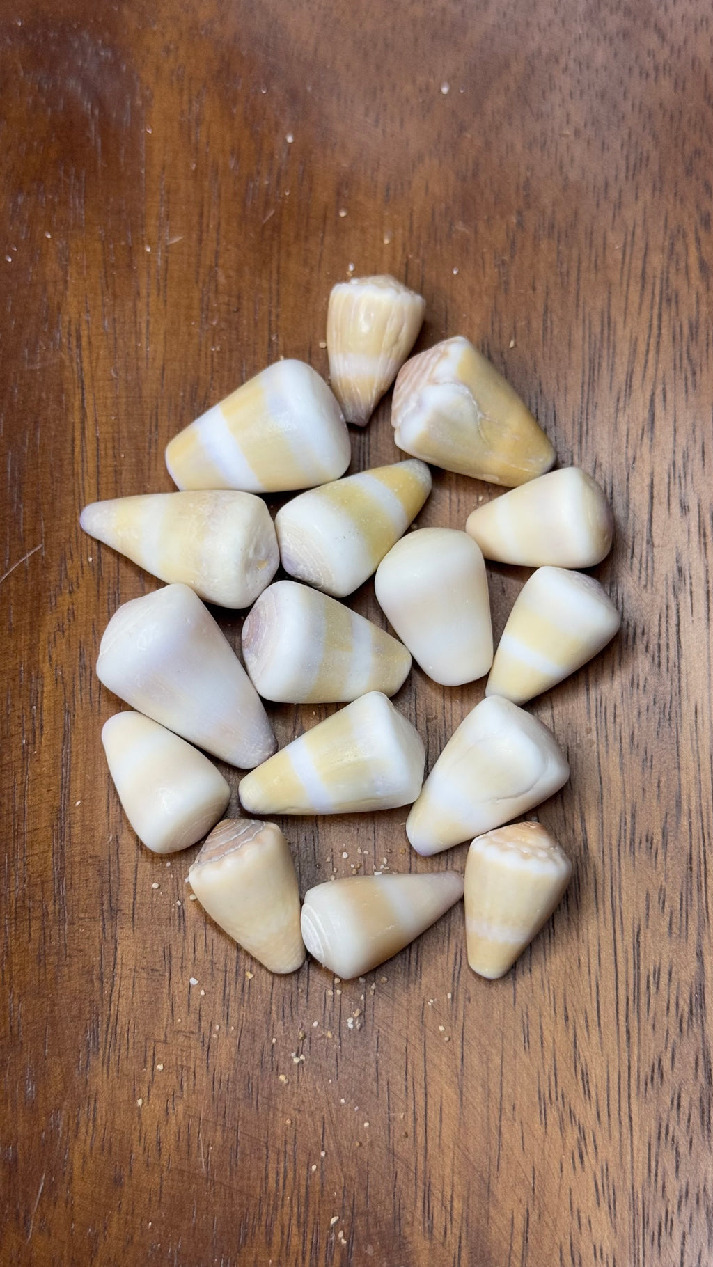 Golden-Yellow Bangle