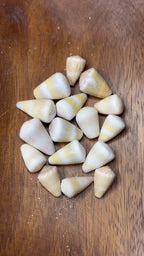 Golden-Yellow Bangle