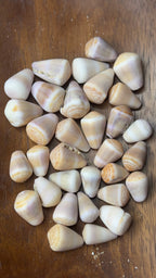 Purple-Brown Shell Bangle